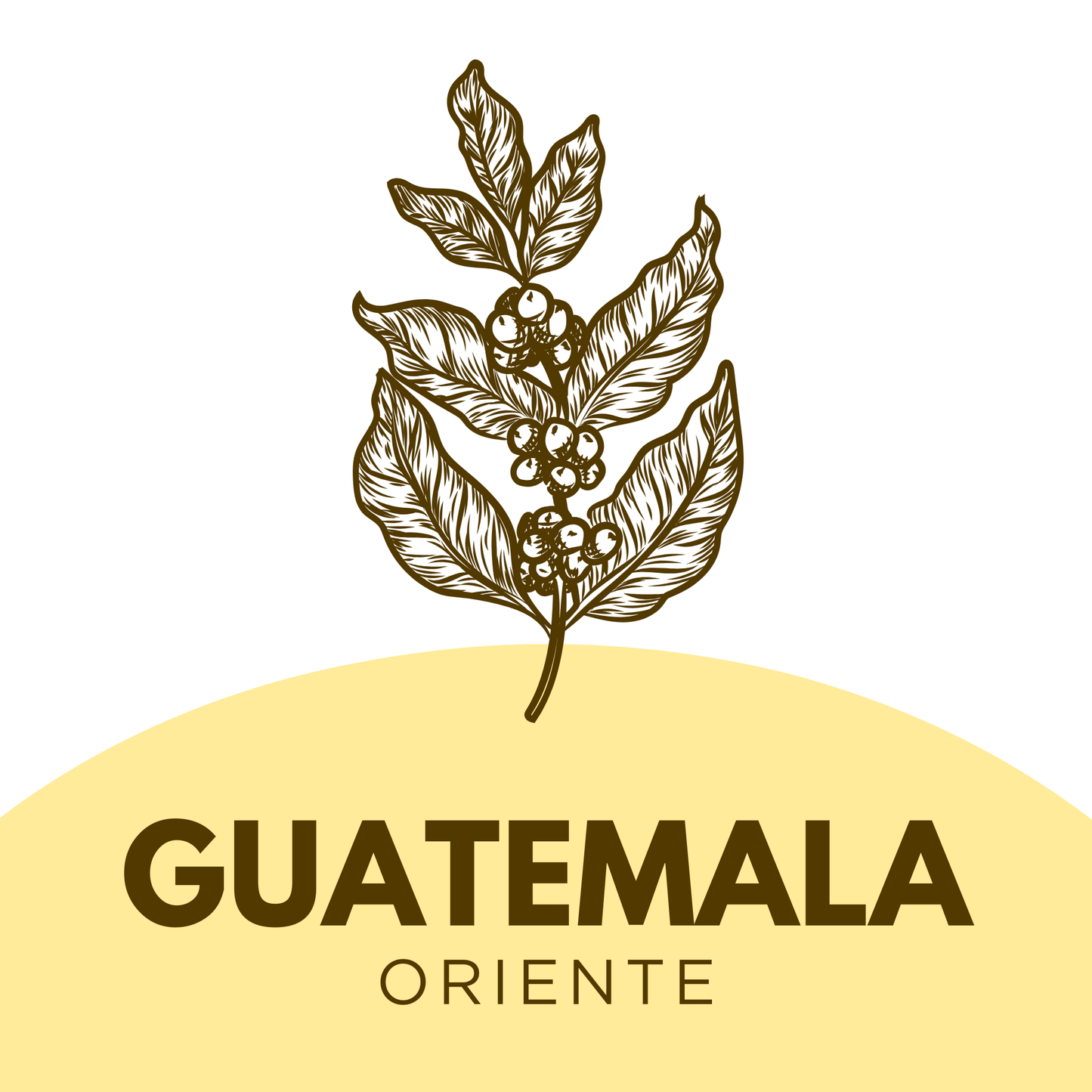 Guatemala Oriente