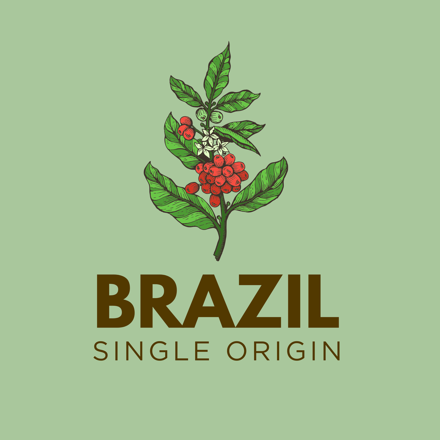 Brazil Cerrado