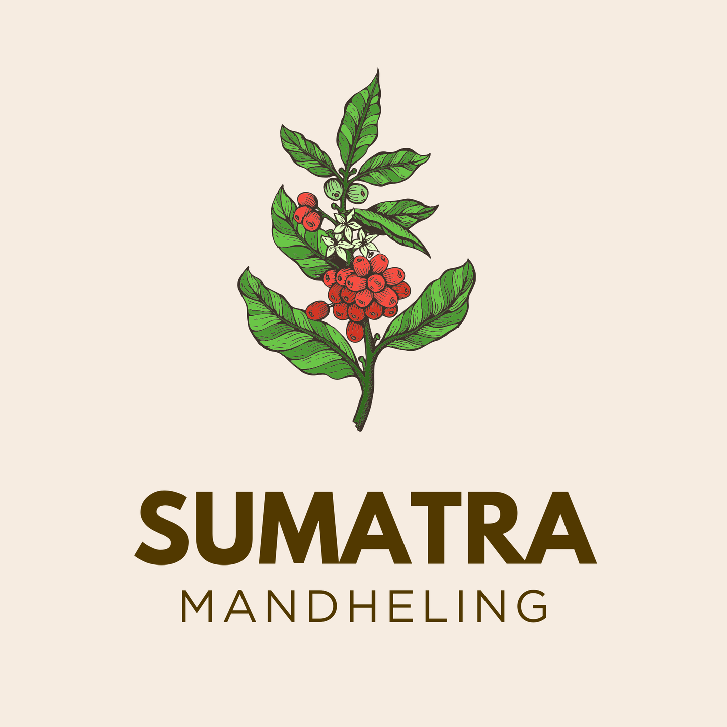 Sumatra Mandheling