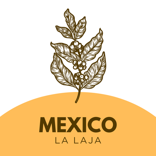 Mexico La Laja