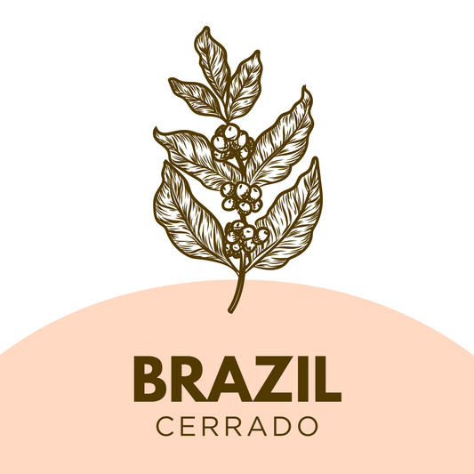 Brazil Cerrado