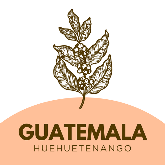 Guatemala XUJ