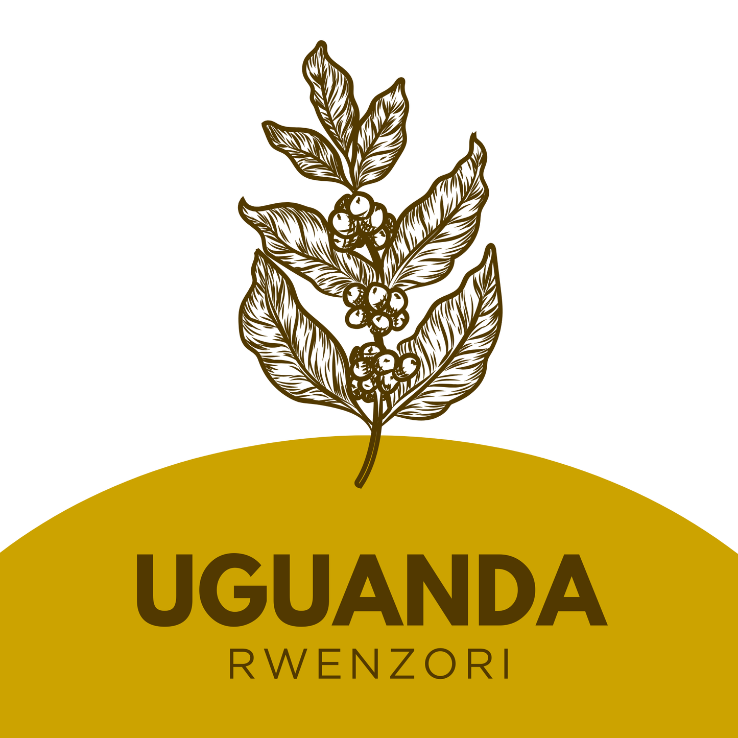 Uganda Rwenzori
