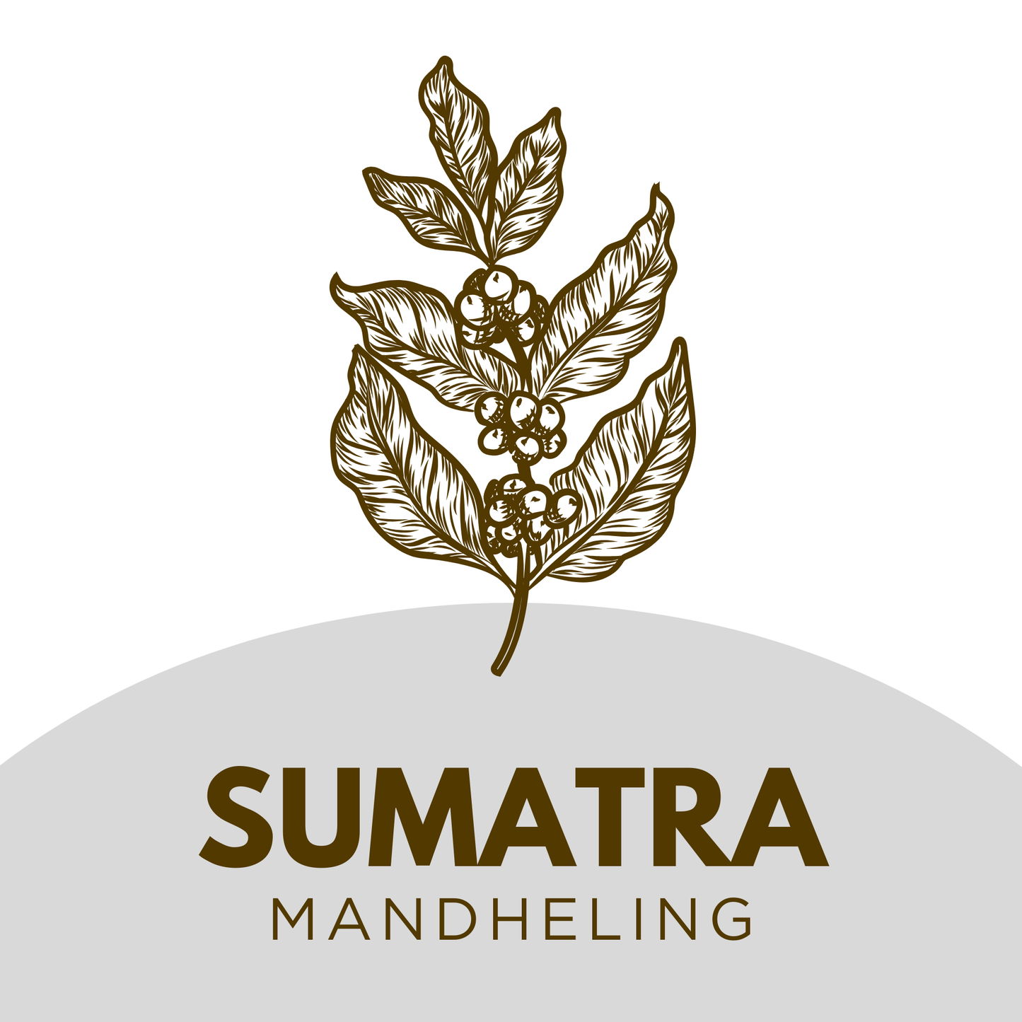 Sumatra Mandheling
