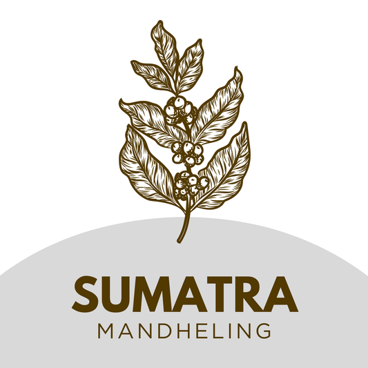 Sumatra Mandheling