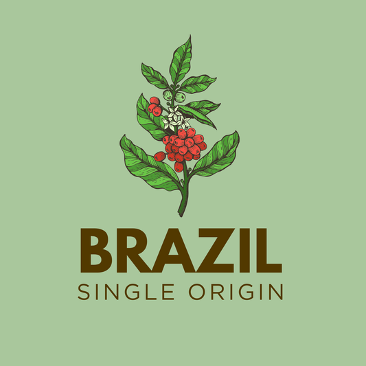 Brazil Cerrado