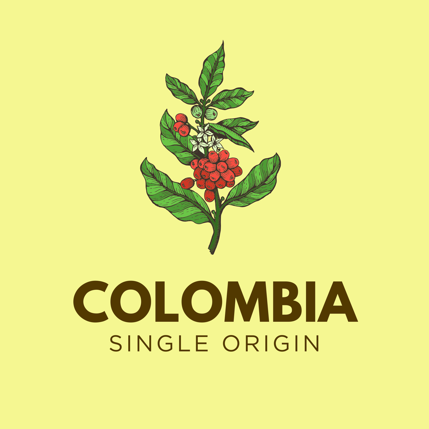 Colombia Excelso