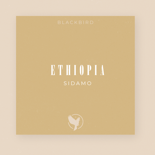 Ethiopia Sidamo