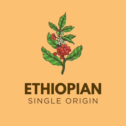 Ethiopia Sidamo