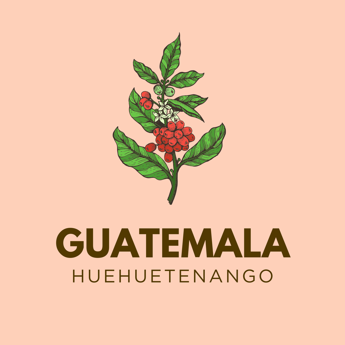 Guatemala XUJ