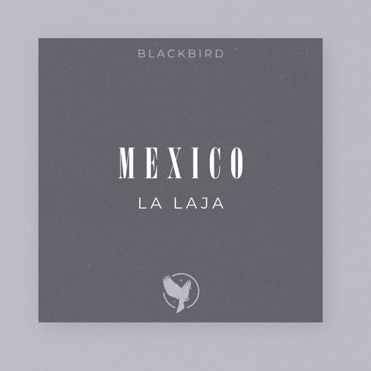 Mexico La Laja