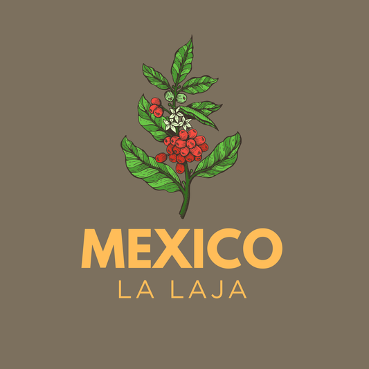 Mexico La Laja