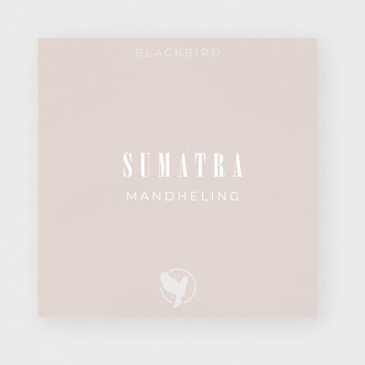Sumatra Mandheling