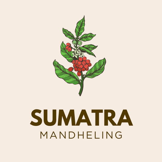 Sumatra Mandheling