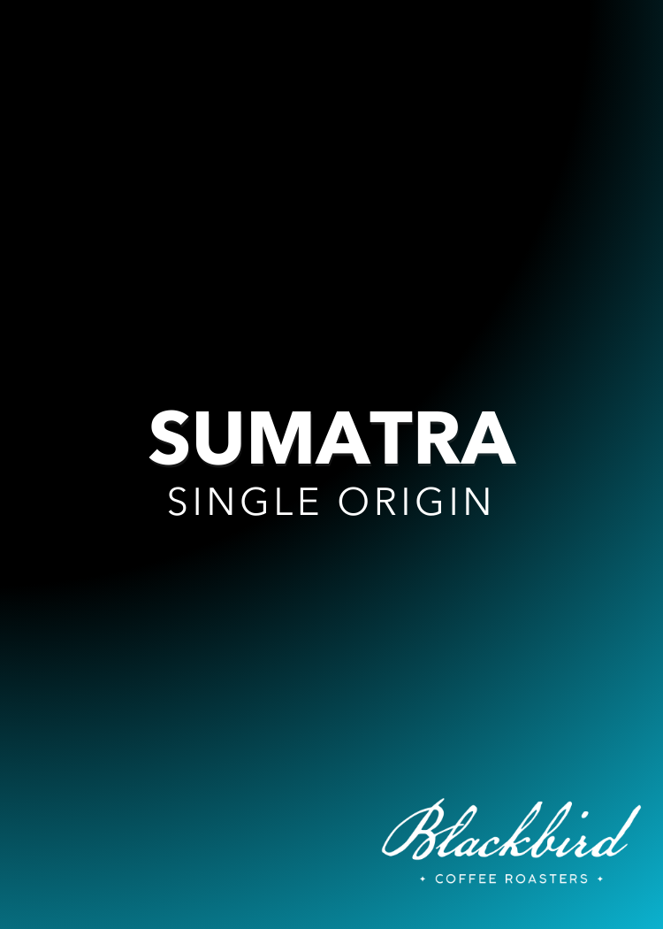 Sumatra {Single Origin}